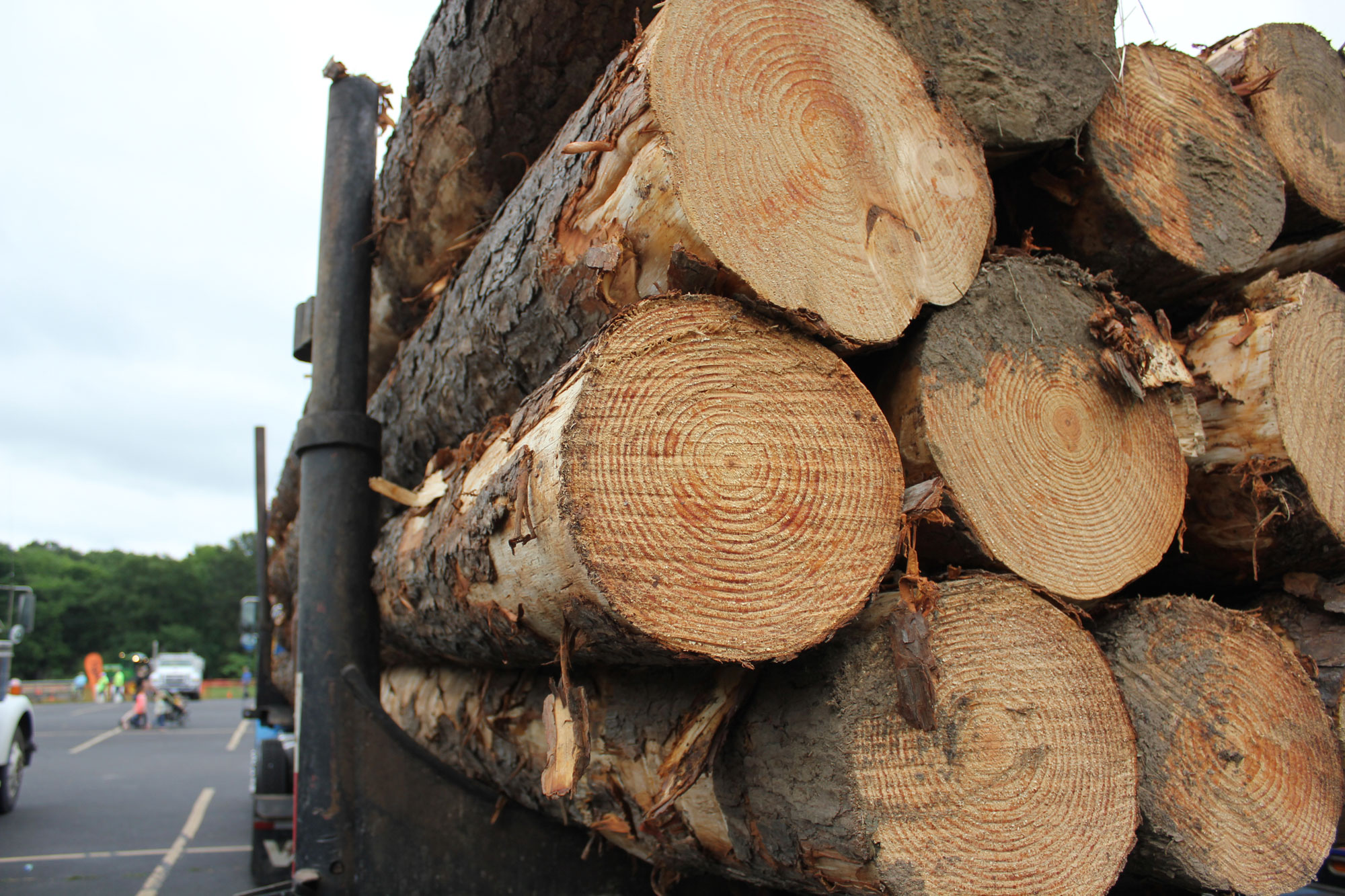 Pro Logger Training Starts October 9, 2014