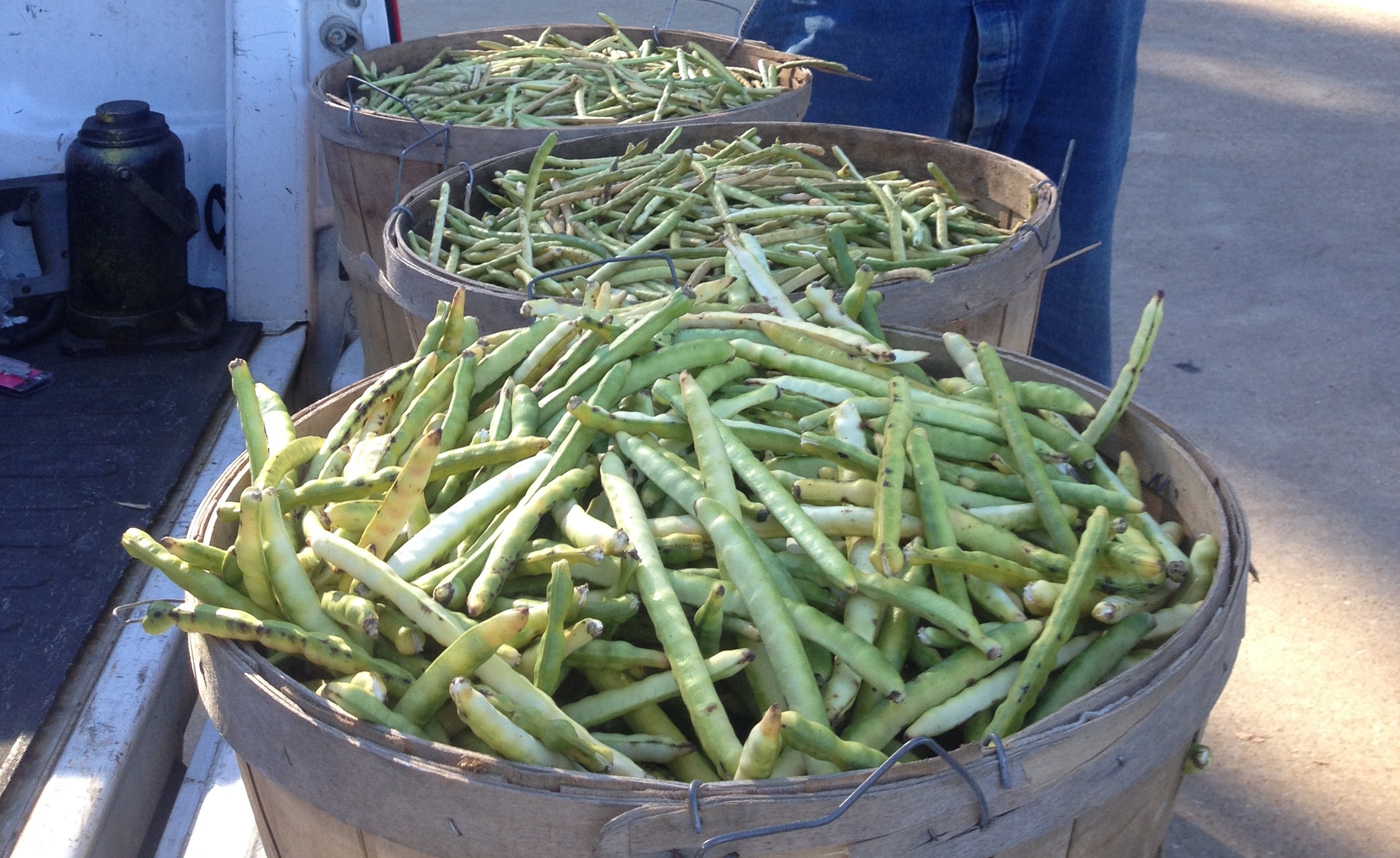 Fall Vegetable Gardening
