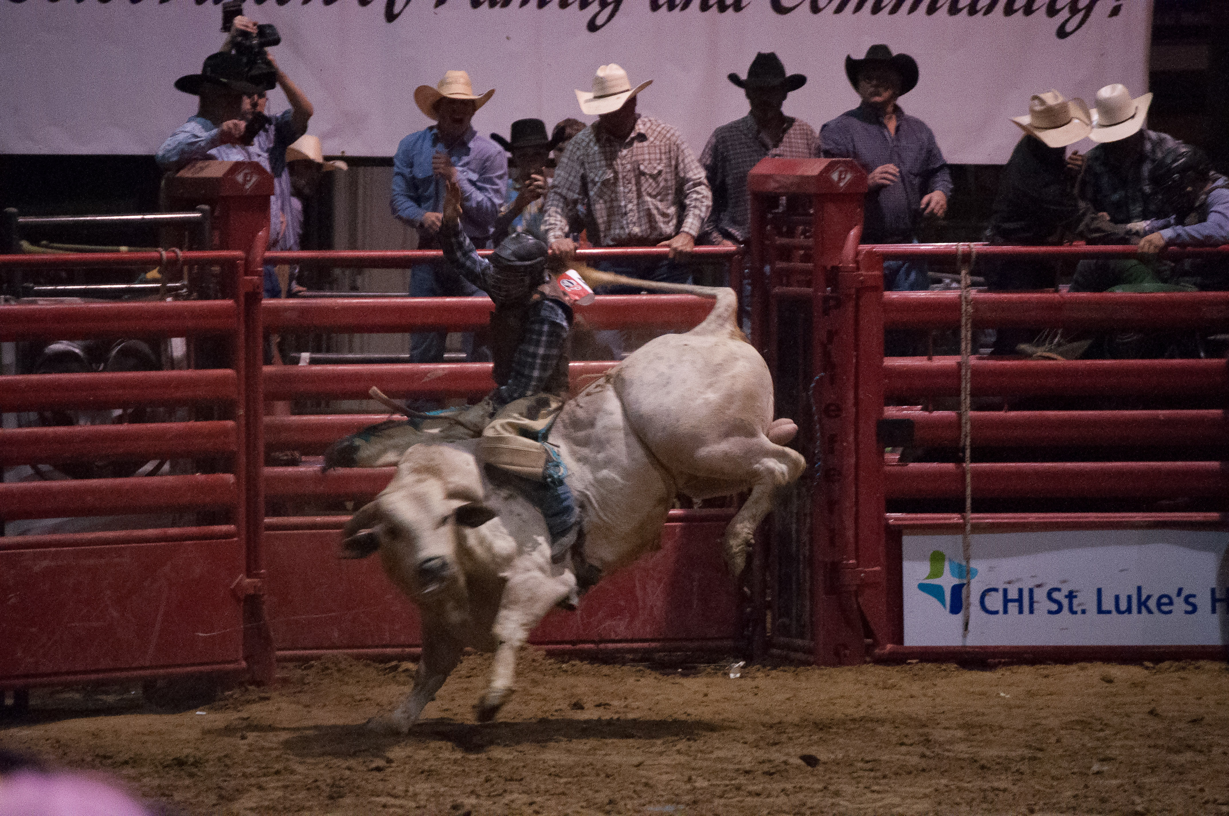 2015 Angelina Benefit Rodeo