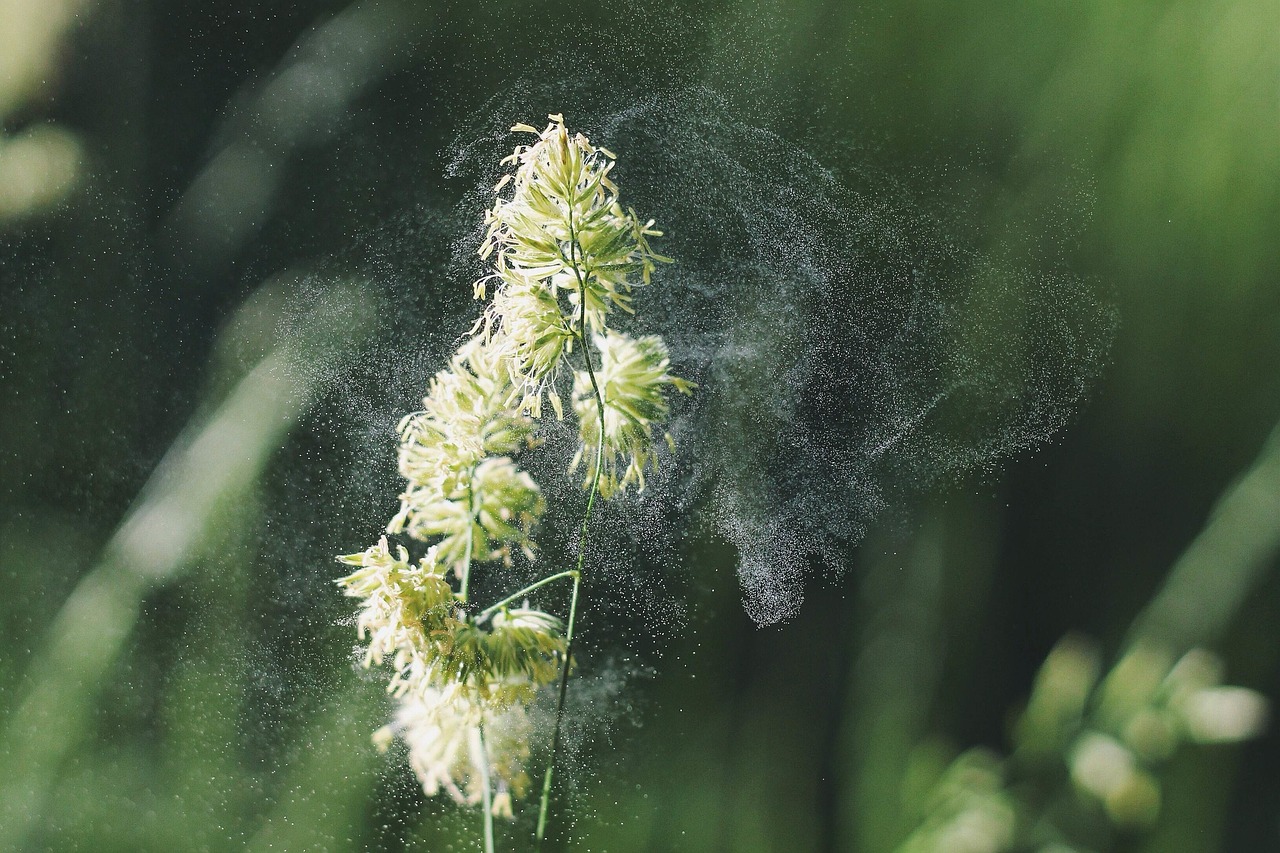 Surprising Symptoms of Allergies and Tips to Manage Them Surprising Symptoms of Allergies and Tips to Manage Them
