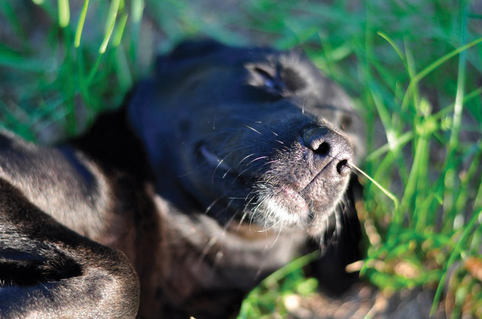 Utility Relocation Not To Affect Patrons And Residents