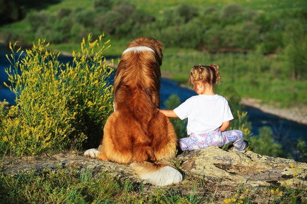 If the “Pollen Tsunami” Has Swept Through, Why Are You Still Miserable?