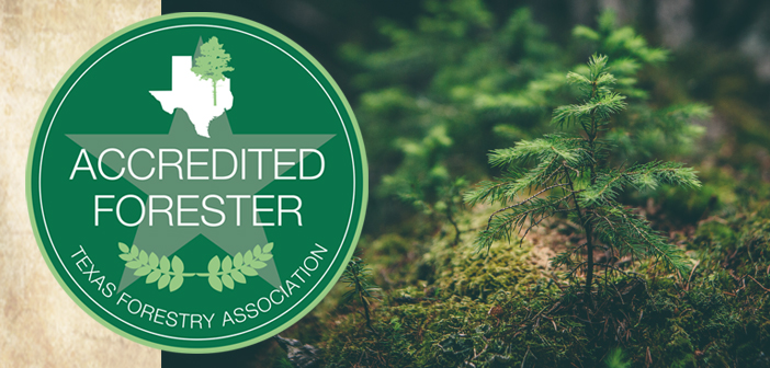 Texas Forestry Association Launches Accredited Forester Program