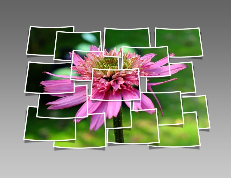 Makerspace Continues With DIY Collage Self-Portraits At The Public Library