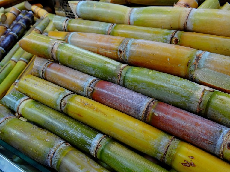 Old-Fashioned Sweet Tooth Sugarcane Festival Cancelled Old-Fashioned Sweet Tooth Sugarcane Festival Cancelled