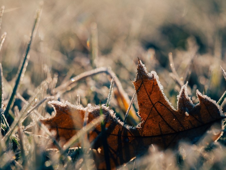 When Is The Last Frost Of The Season?