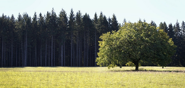 Challenging Issues Landowners Face