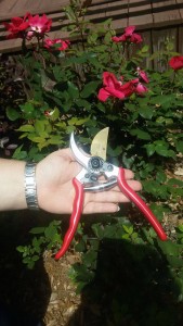 open pruners