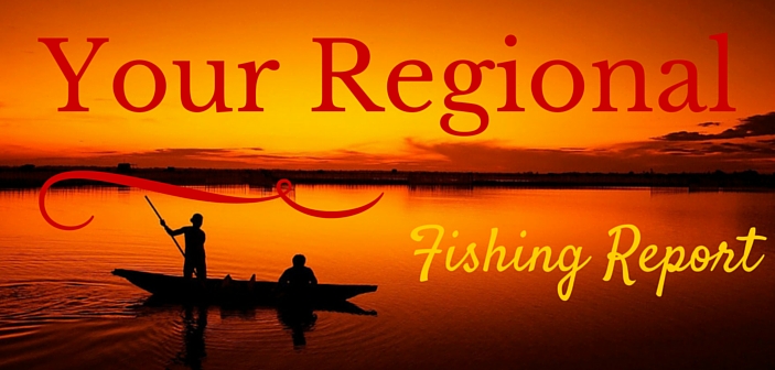 Your Regional Fishing Report