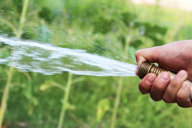 A Guide to Saving Water and Your Lawn A Guide to Saving Water and Your Lawn