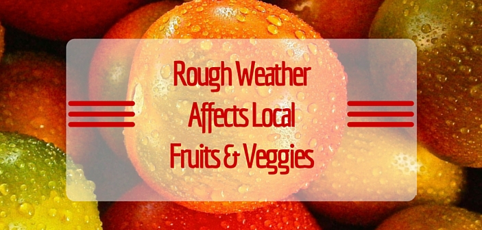 High Wind, Rainfall Affecting Local Fruit, Vegetable Production