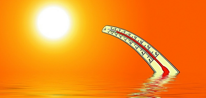 Agency Offers Free Heat Safety Tool App For Real-Time Safety Tips