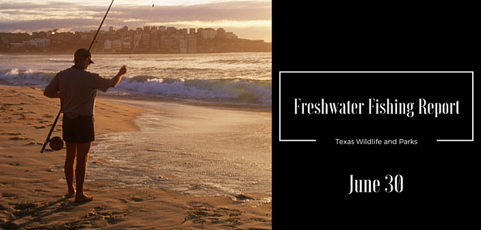 Your Freshwater Fishing Report