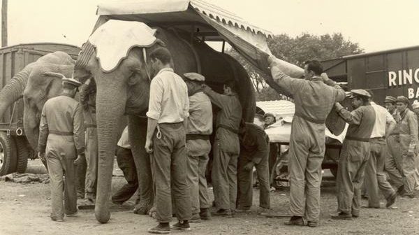 Step Right Up To See The New Circus Exhibit
