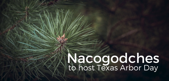 Texas Arbor Day To Be Held In Nacogdoches