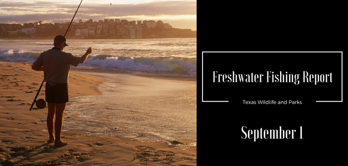 Your Freshwater Fishing Report