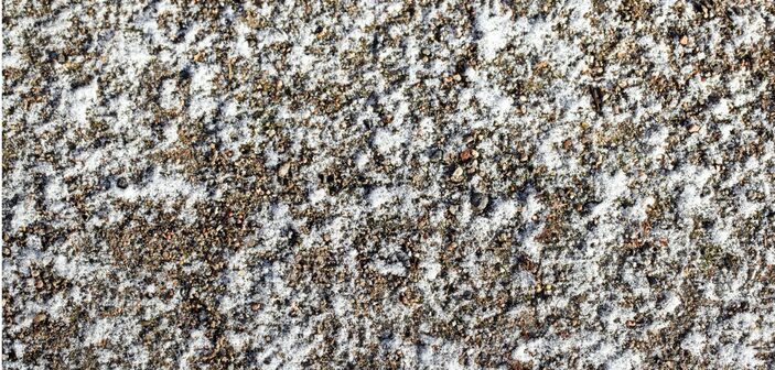 Transition Lawn Care from Summer to Winter