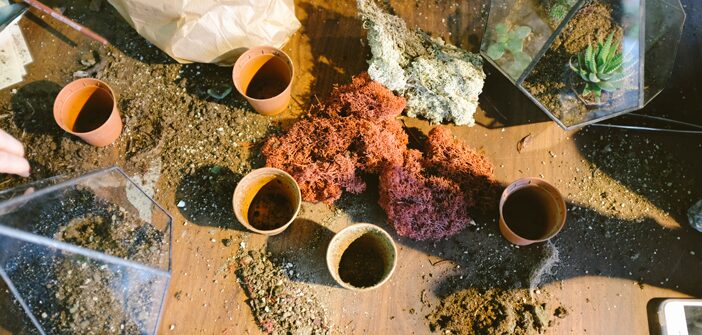 Kicking Off Fall Planting, Wildlife