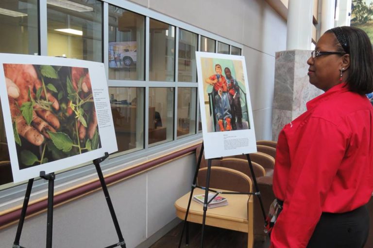 Lilly Oncology On Canvas: Expressions of a Cancer Journey Lilly Oncology On Canvas: Expressions of a Cancer Journey