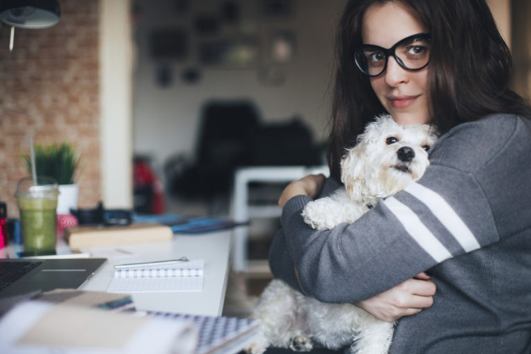 Five Tips For Traveling With Pets