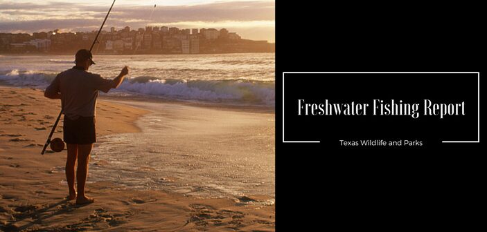 Your Freshwater Fishing Report