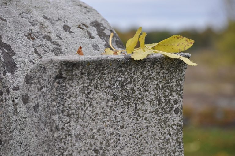 Headstone Cleaning