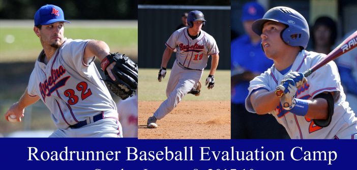 ac-baseball-evaluation-camp-jan-8-2017