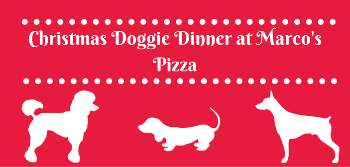 Marco’s Pizza Hosts Christmas Doggie Dinner Marco’s Pizza Hosts Christmas Doggie Dinner
