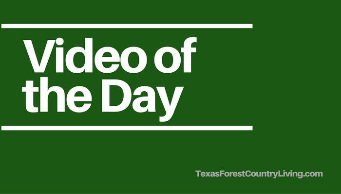 Video of the Day: The Fish are Drowning