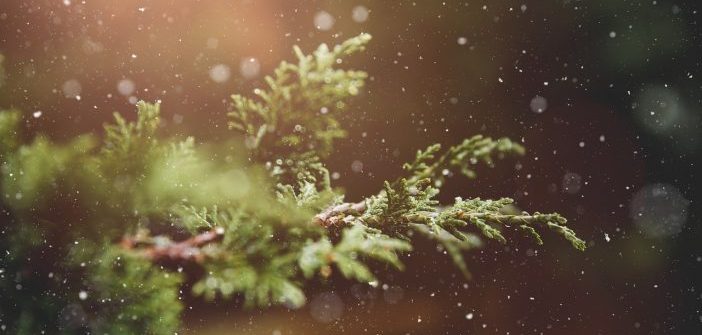 winter-1791370_1280