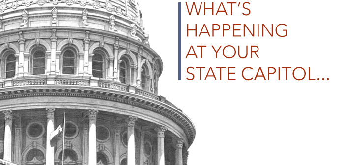 An Update From Rep. Trent Ashby