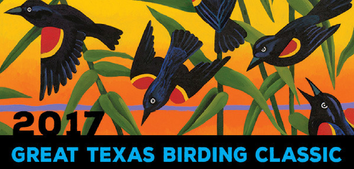 Sign Up Now for the Birding Classic