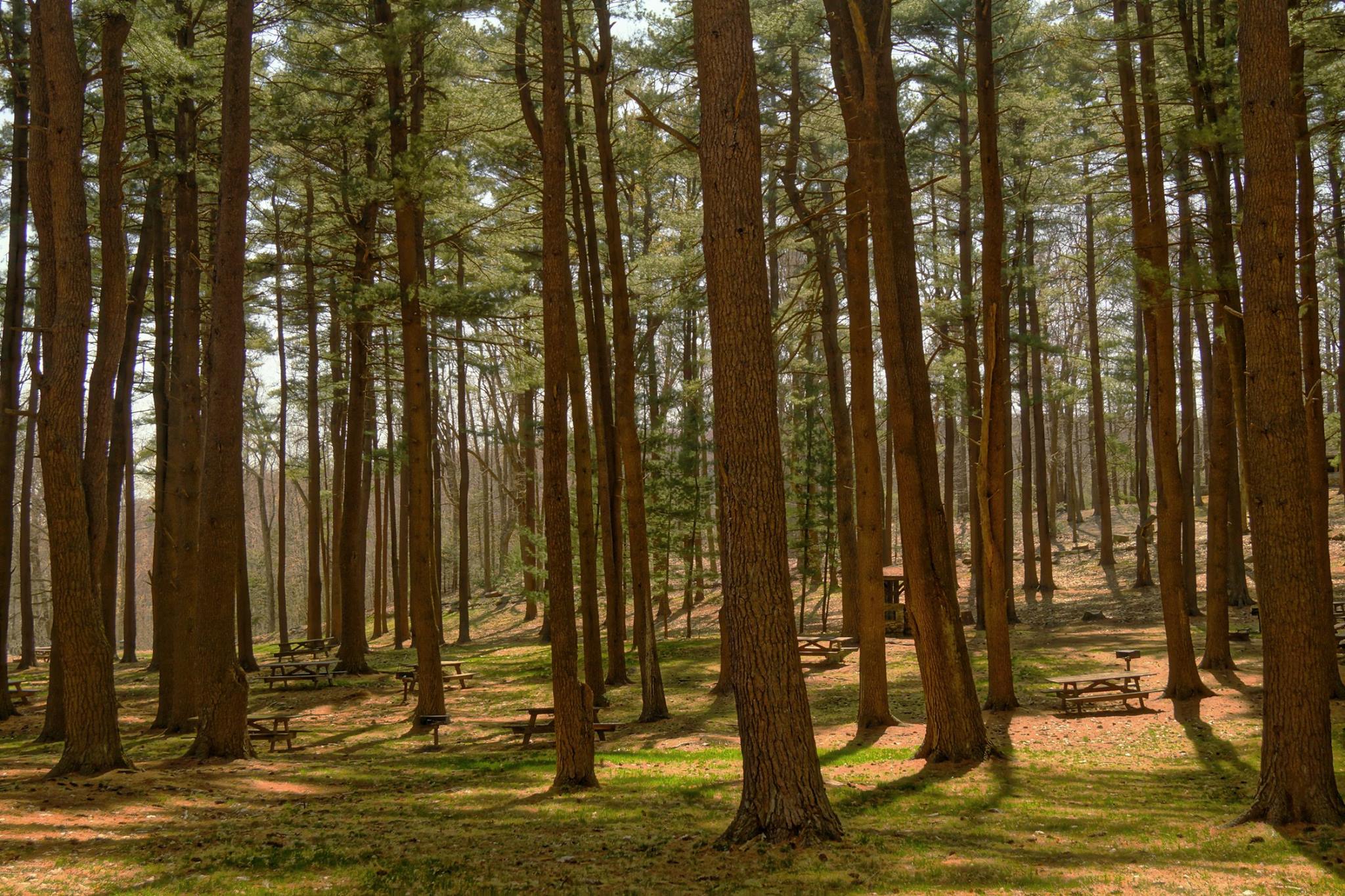 USDA Forest Service to Hold Public Hearings on the Forest Plan Revision Process