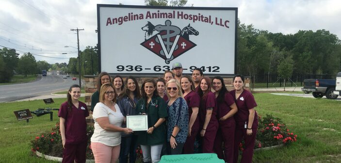 Angelina Animal Hospital Wins Beautification Award