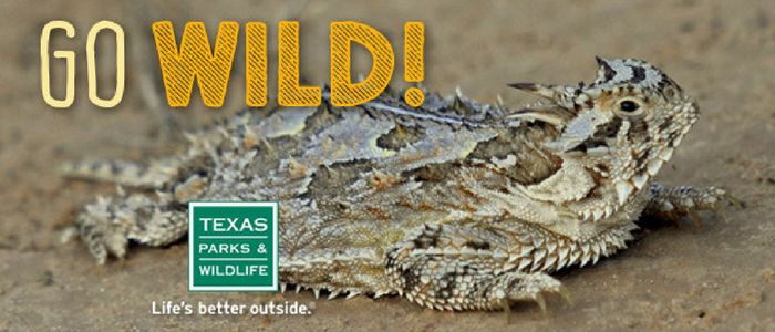 Go Wild at a Texas State Park