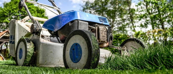 Skip into Spring with the Right Lawn Care Business