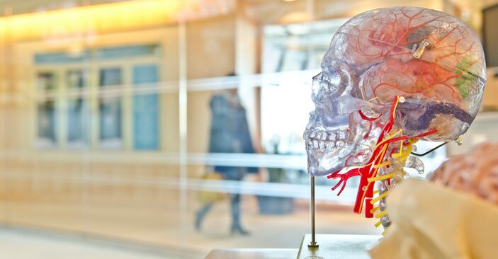 Texas A&M Research Points to Potential Way to Prevent Seizure-Caused Brain Damage