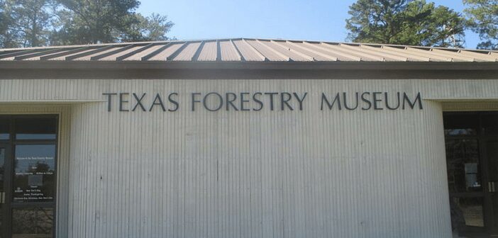 Holiday at the Museum