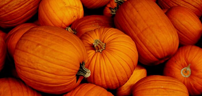 Still got a pumpkin?