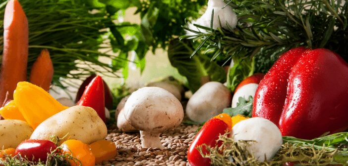 Planning out your vegetable garden