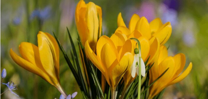 Transitions in March