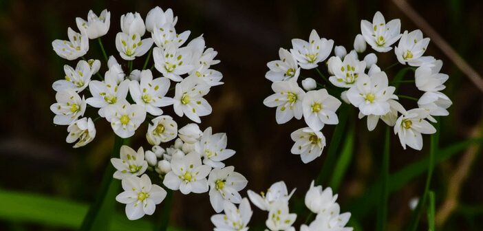 Transitions in March