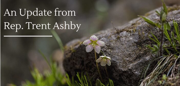 An Update from Rep. Trent Ashby