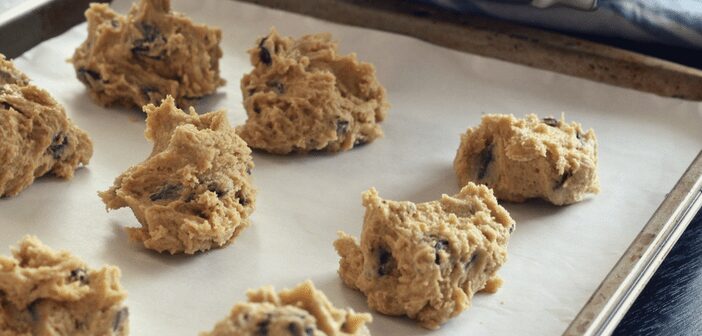 Rock Cookies at the Library