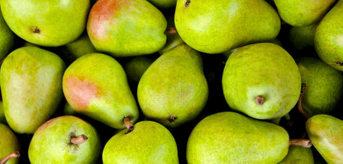 Growing Pears