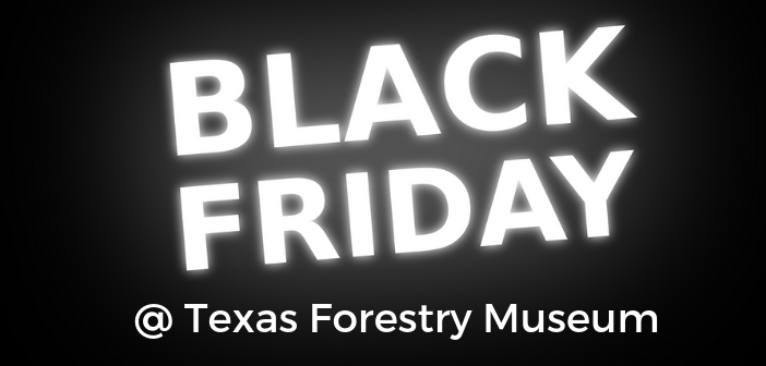 Holiday at the Museum