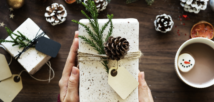 Gift Giving to a Gardener