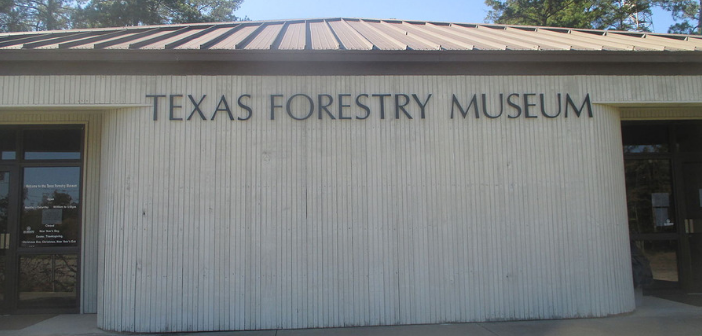 Holiday at the Museum