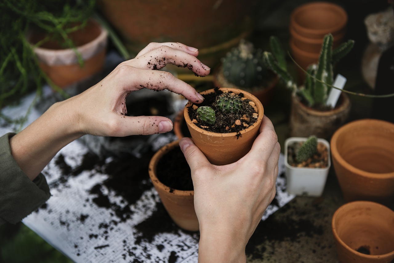 Angelina County Volunteer Master Gardeners now accepting applications for 2019 class