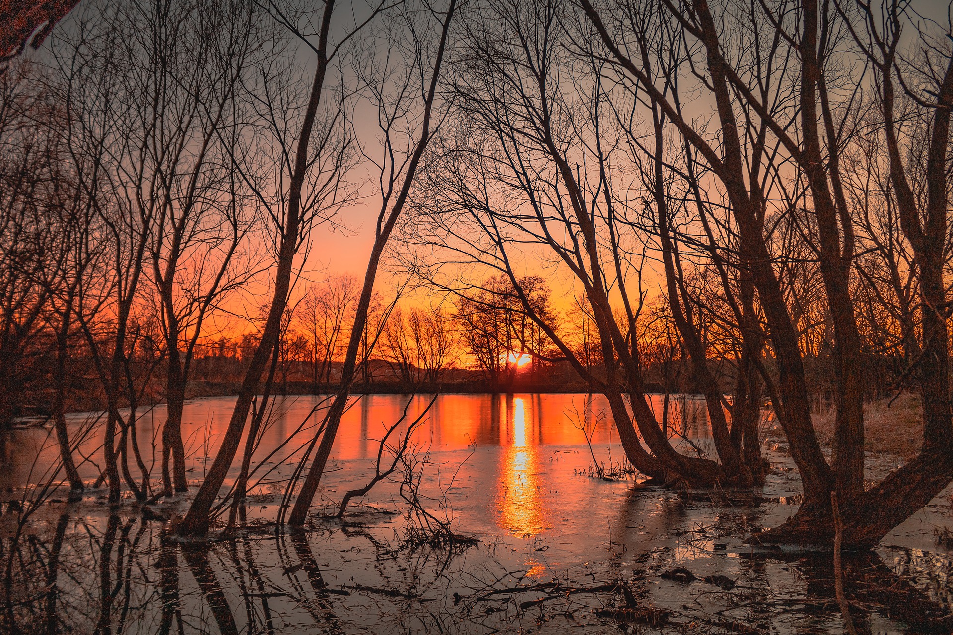 Farm pond management